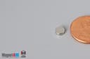 2/10" dia. x 1/16" N45 Neodymium Disc Magnet - photo 3