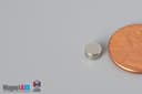 2/10" dia. x 1/10" N45 Neodymium Disc Magnet - photo 3