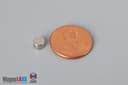 2/10" dia. x 1/8" N45 Neodymium Disc Magnet - photo 1