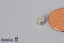 2/10" dia. x 1/8" N45 Neodymium Disc Magnet - photo 3