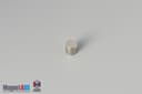 2/10" dia. x 3/16" N45 Neodymium Disc Magnet - photo 4