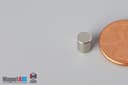 2/10" dia. x 1/4" N45 Neodymium Cylinder Magnet - photo 3