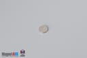 1/4" dia. x 1/32" N52 Neodymium Disc Magnet - photo 2