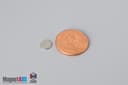 1/4" dia. x 1/32" N52 Neodymium Disc Magnet - photo 1