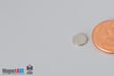 1/4" dia. x 1/32" N52 Neodymium Disc Magnet - photo 3