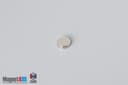 1/4" dia. x 1/16" N52 Neodymium Disc Magnet - photo 2