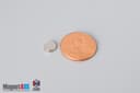 1/4" dia. x 1/16" N52 Neodymium Disc Magnet - photo 1