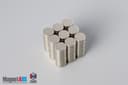 1/4" dia. x 1/16" N52 Neodymium Disc Magnet - photo 4