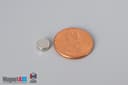 1/4" dia. x 3/32" N40 Neodymium Disc Magnet - photo 1