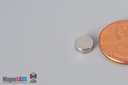 1/4" dia. x 3/32" N40 Neodymium Disc Magnet - photo 3