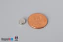 1/4" dia. x 1/10" N40 Neodymium Disc Magnet - photo 1