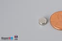 1/4" dia. x 1/10" N40 Neodymium Disc Magnet - photo 3