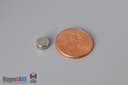 1/4" dia. x 1/8" N52 Neodymium Disc Magnet - photo 1