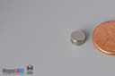 1/4" dia. x 1/8" N52 Neodymium Disc Magnet - photo 3