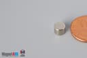 1/4" dia. x 2/10" N40 Neodymium Disc Magnet - photo 3
