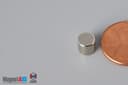 1/4" dia. x 1/4" N45 Neodymium Cylinder Magnet - photo 3