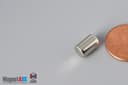 1/4" dia. x 3/8" N52 Neodymium Cylinder Magnet - photo 3