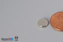 5/16" dia. x 1/16" N40 Neodymium Disc Magnet - photo 3