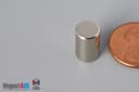 5/16" dia. x 1/2" N52 Neodymium Cylinder Magnet - photo 3