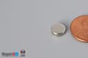 5/16" dia. x 1/10" N40 Neodymium Disc Magnet - photo 3