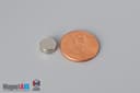 5/16" dia. x 1/8" N40 Neodymium Disc Magnet - photo 1