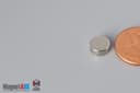 5/16" dia. x 1/8" N40 Neodymium Disc Magnet - photo 3