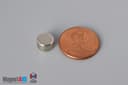 5/16" dia. x 3/16" N40 Neodymium Disc Magnet - photo 1