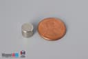 5/16" dia. x 1/4" N40 Neodymium Disc Magnet - photo 1