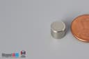 5/16" dia. x 1/4" N40 Neodymium Disc Magnet - photo 3