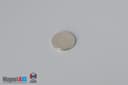3/8" dia. x 1/32" N40 Neodymium Disc Magnet - photo 2