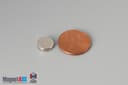 3/8" dia. x 1/10" N40 Neodymium Disc Magnet - photo 1