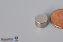 3/8" dia. x 1/4" N40 Neodymium Disc Magnet - photo 3